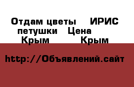 Отдам цветы    ИРИС-петушки › Цена ­ 0 - Крым  »    . Крым